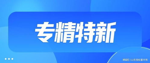 山東企業(yè)申請(qǐng)ITSS信息技術(shù)服務(wù)標(biāo)準(zhǔn)（運(yùn)行維護(hù)）認(rèn)證的必備條件與流程詳解